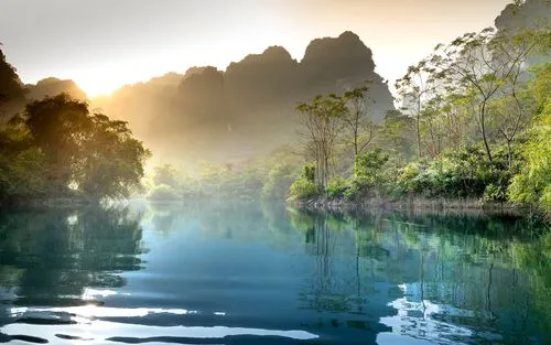 高性能精密